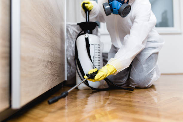Best Mosquito Control Services  in Novi, MI