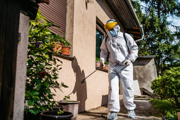 Best Termite Control Services  in Novi, MI
