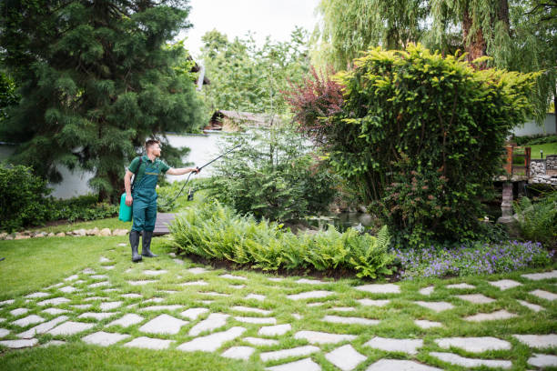 Best Local Pest Control Services  in Novi, MI