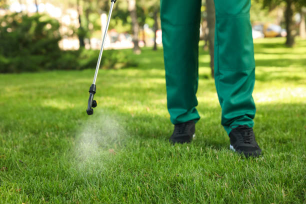 Best Rat Extermination Near Me  in Novi, MI