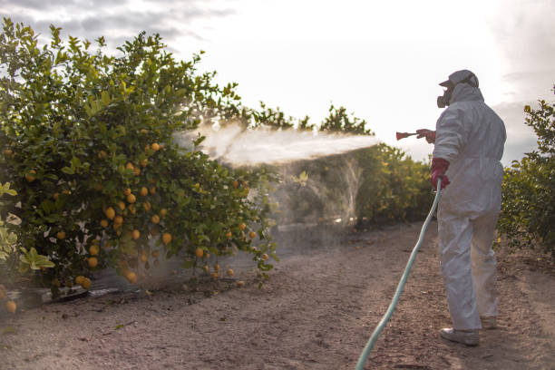 Best Wildlife Control Services  in Novi, MI