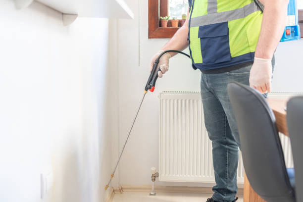Best Ant Control Services  in Novi, MI