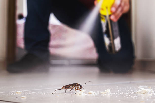 Best Best Pest Control Companies  in Novi, MI