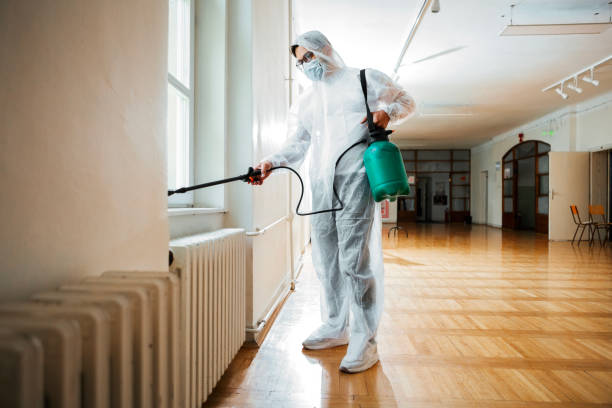 Best Pest Control Treatment  in Novi, MI