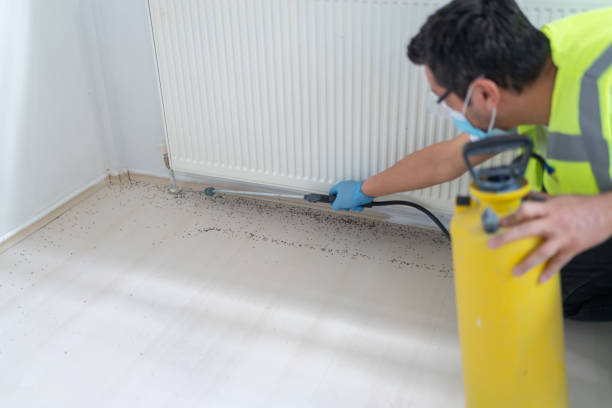Best Residential Pest Control  in Novi, MI