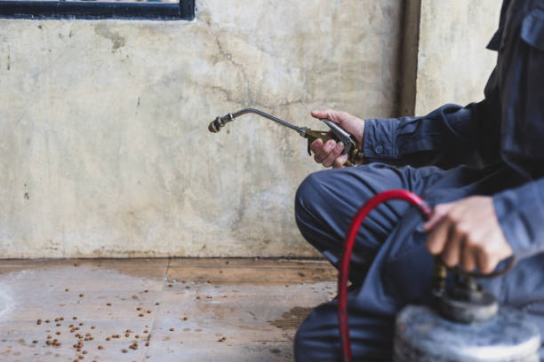 Best Residential Pest Control  in Novi, MI