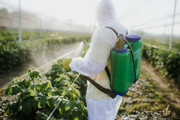 Trusted Novi, MI Pest Control Experts